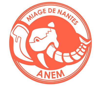 Association Nantaise des Etudiants en Miage (ANEM)