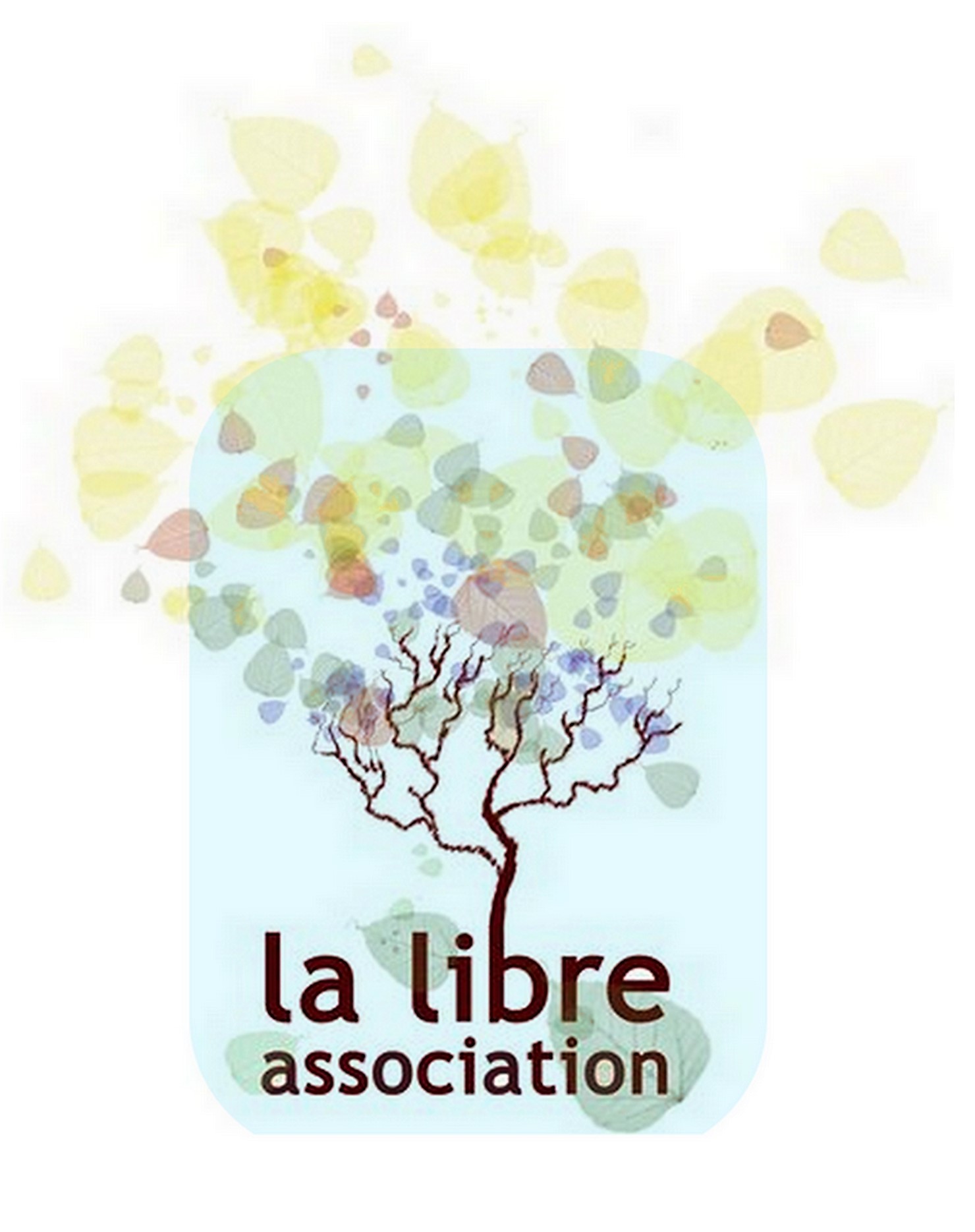 La libre association (LLA)