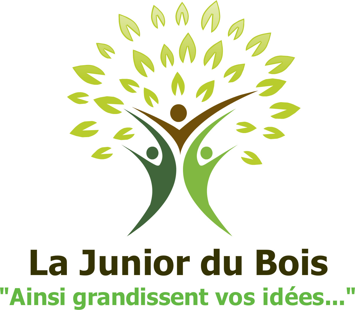 La Junior du Bois (JDB)