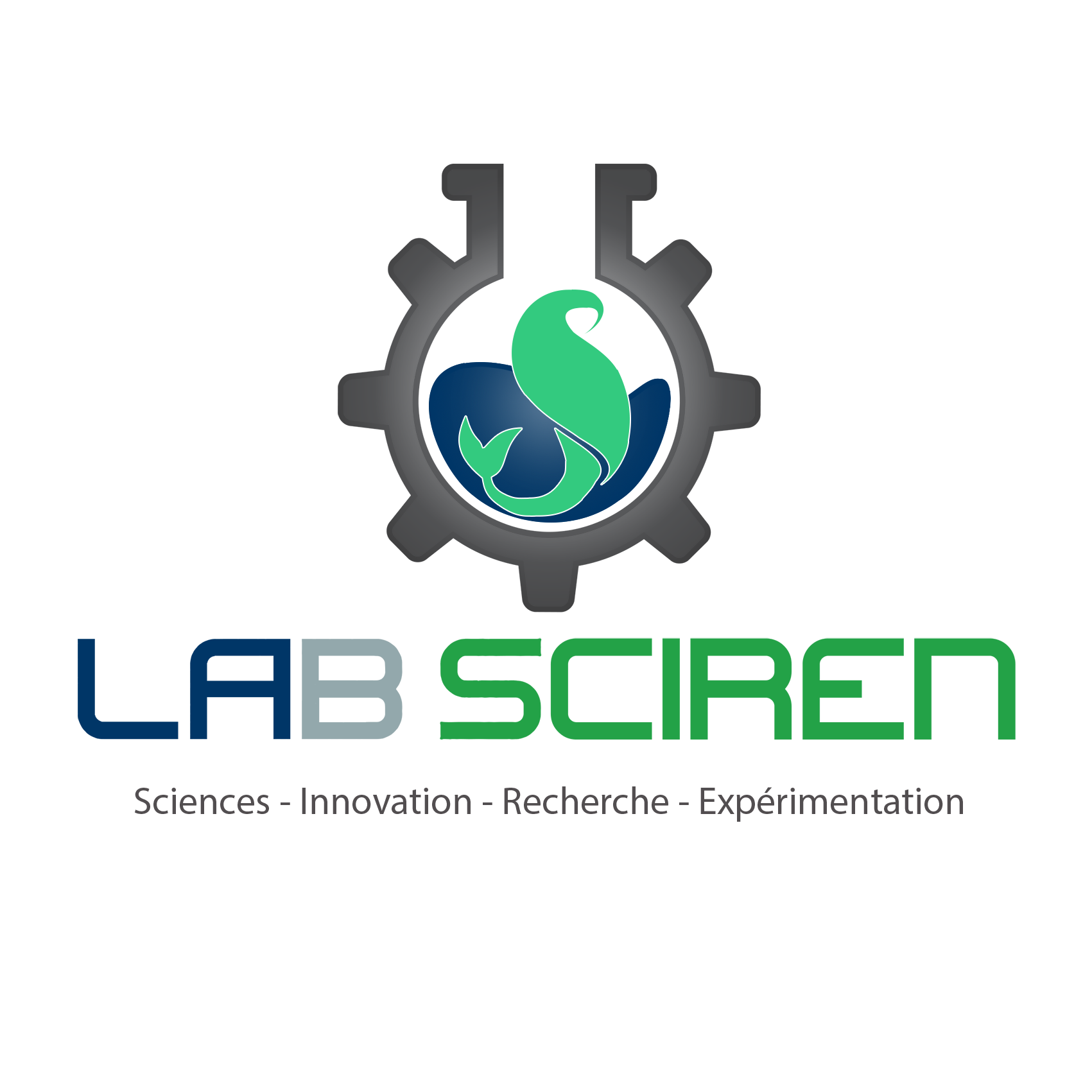 Laboratoire Sciences Innovation Recherche Expérimentation de Nantes (Lab Sciren)