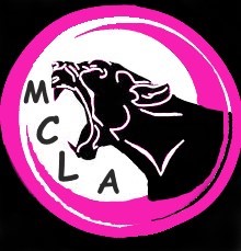 Masters Cyclisme Loire Atlantique (MCLA)